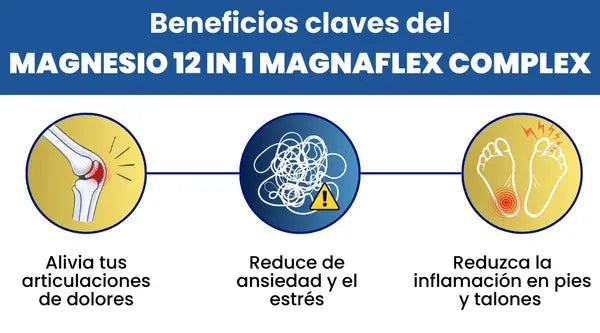 seccion magnesio 12 en 1