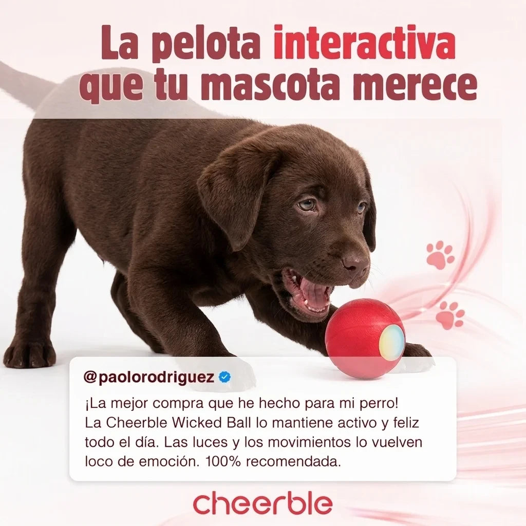 Bola Interactiva para Mascotas