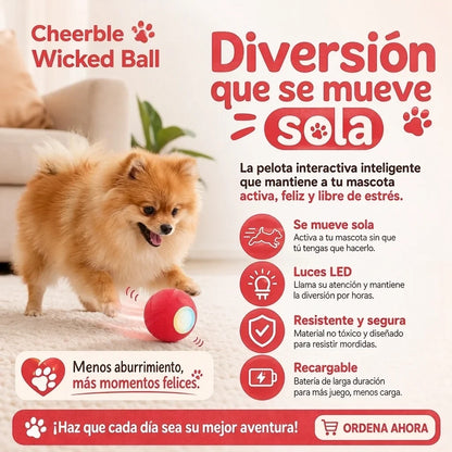 Bola Interactiva para Mascotas