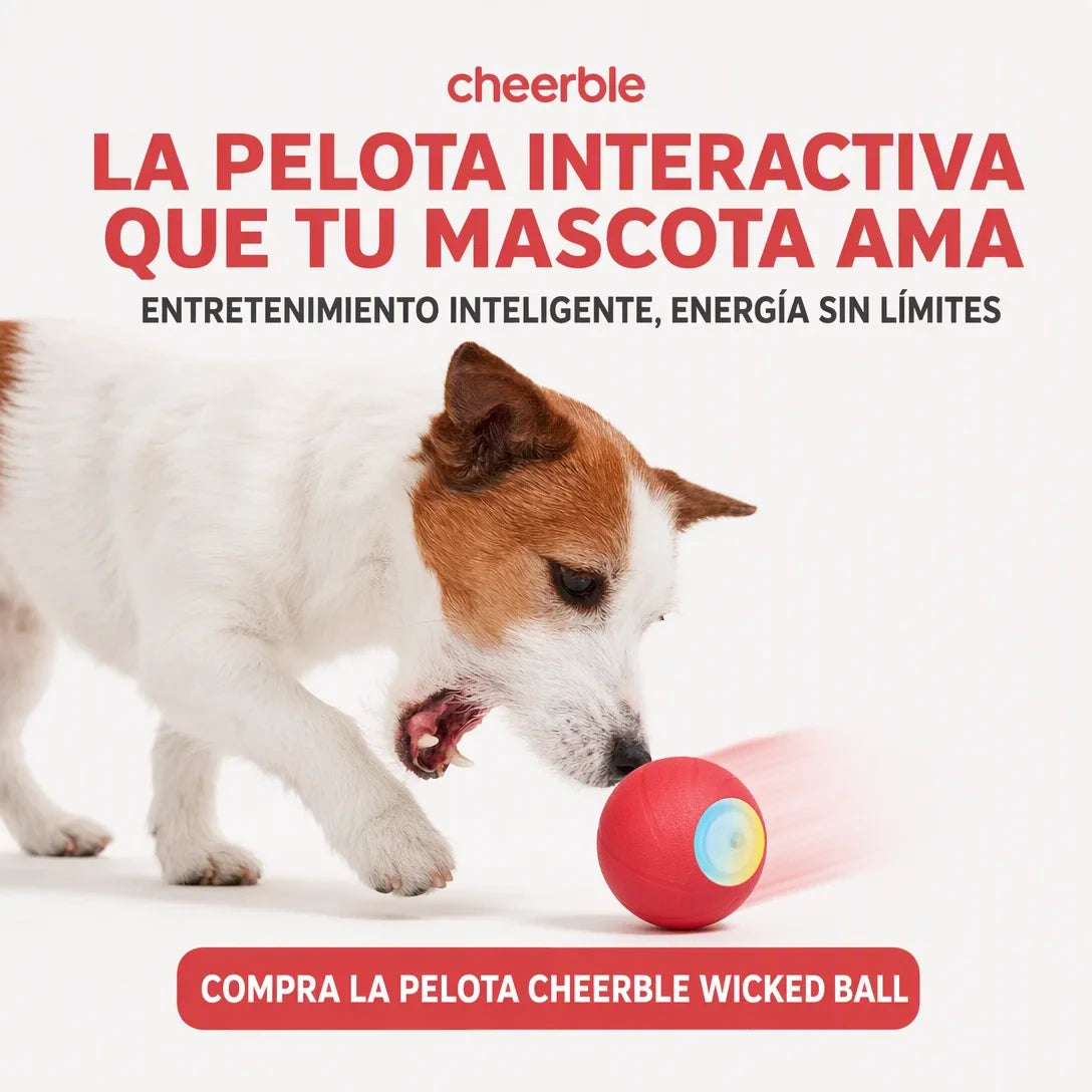 Bola Interactiva para Mascotas
