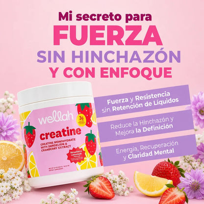 Creatina Monohidratada Wellah