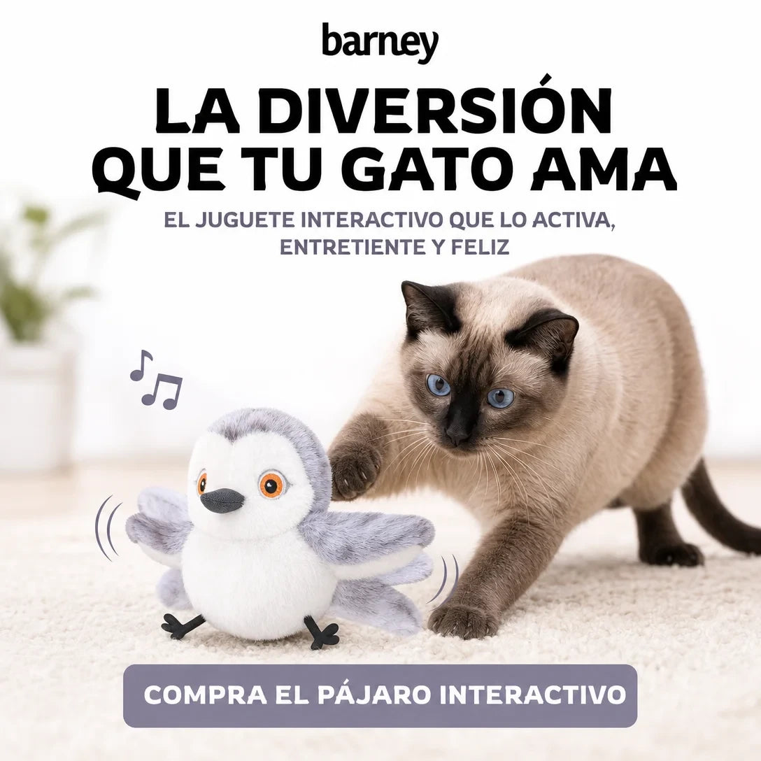 Pajarito Interactivo para Gatos