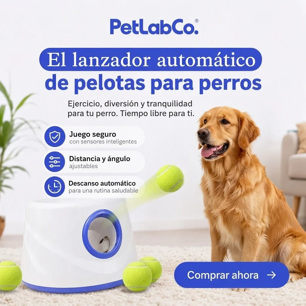 Lanzapelotas para Perros