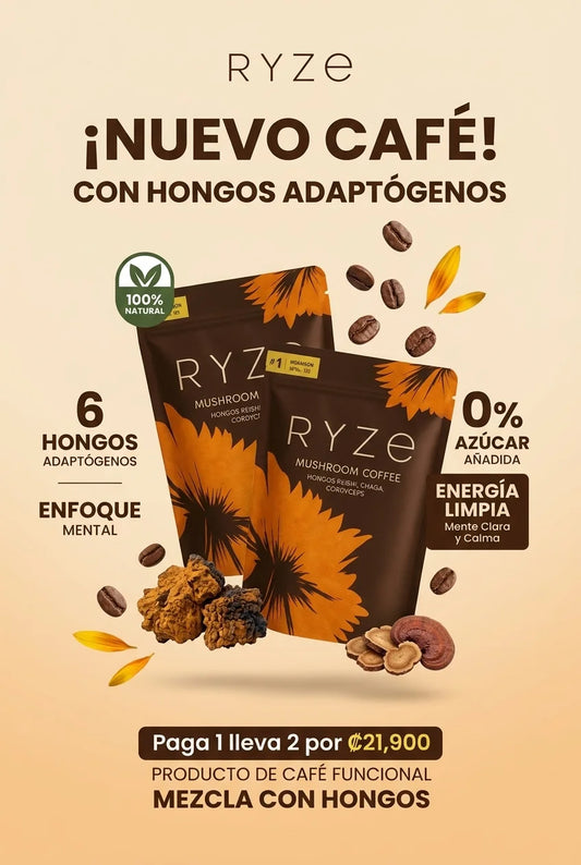 CAFE RIZE
